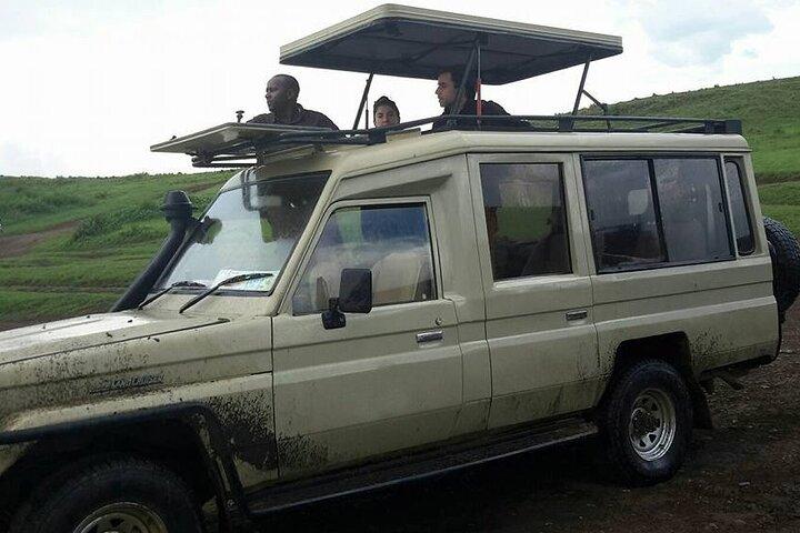 3 Days Maasai Mara Budget Safari on 4WD From Nairobi