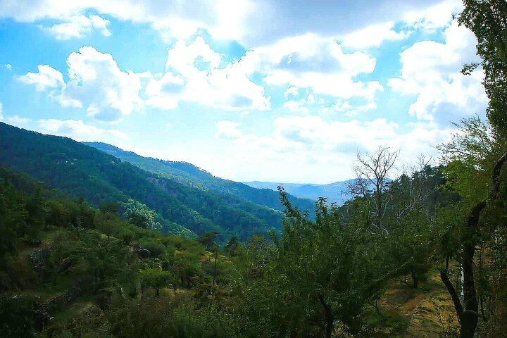 Troodos, Omodos & Kykkos Monastery Full-Day Tour from Paphos