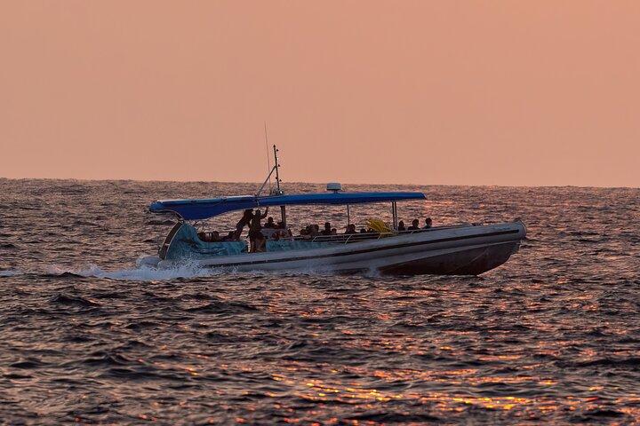 Whale Watching Tour - Big Island, Hawaii