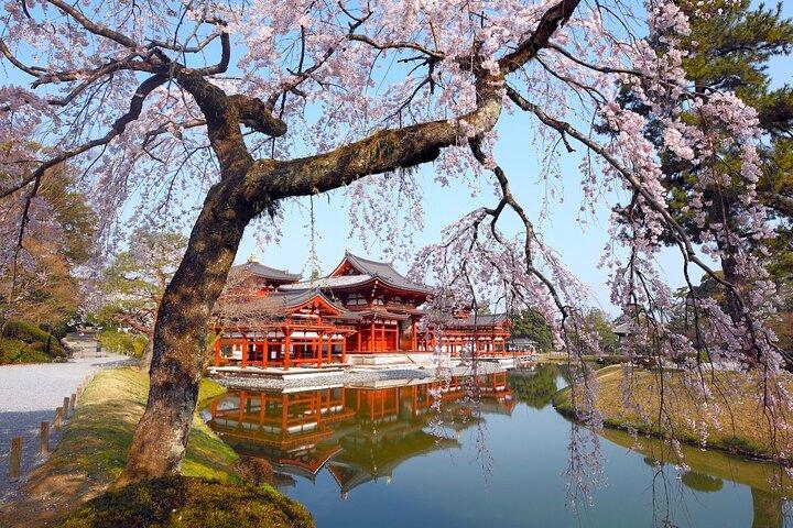 Kyoto Uji Matcha Experience & Nara Private 1-Day Tour