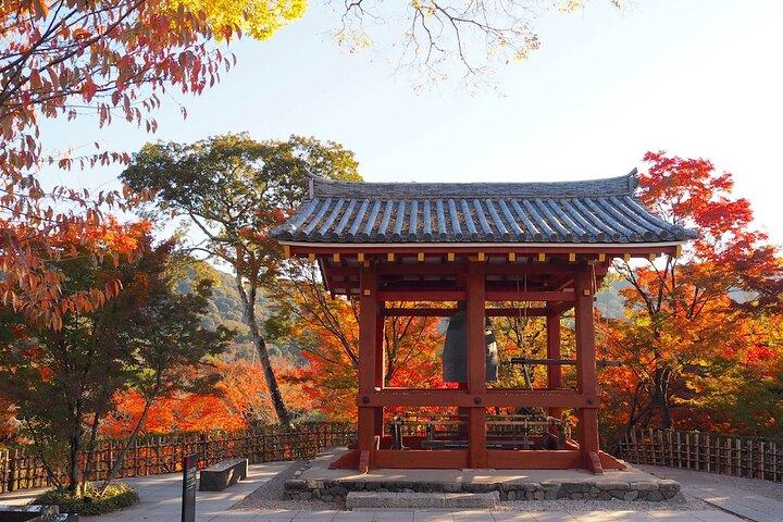 Kyoto Uji Matcha Experience & Nara Private 1-Day Tour