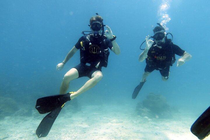 Best Scuba Diving Koh Tao Top Sites from Koh Samui