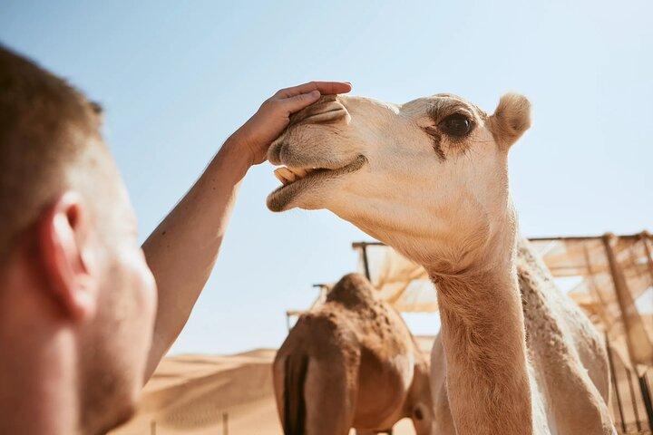 Desert Quad Biking Tour and Desert Safari with Dinner in Dubai