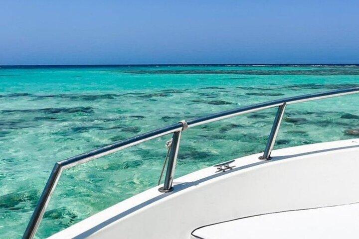 Discover the Secrets of the Sea on a Boat Trip to Bayada Island