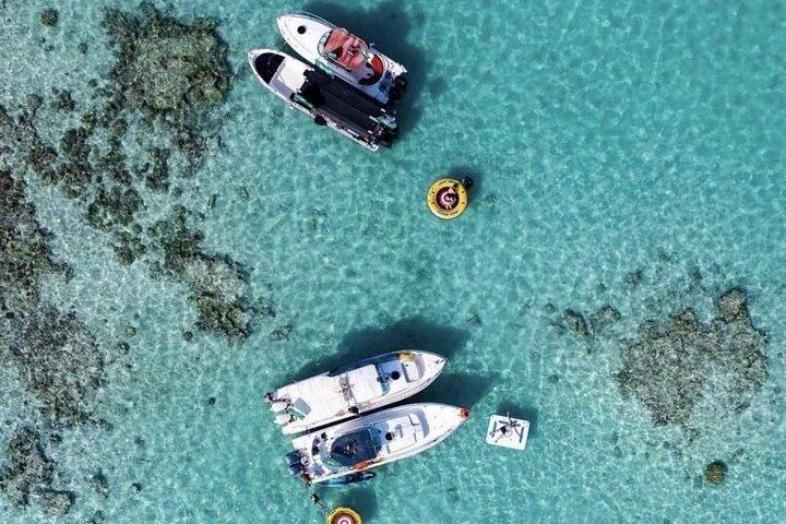 Discover the Secrets of the Sea on a Boat Trip to Bayada Island