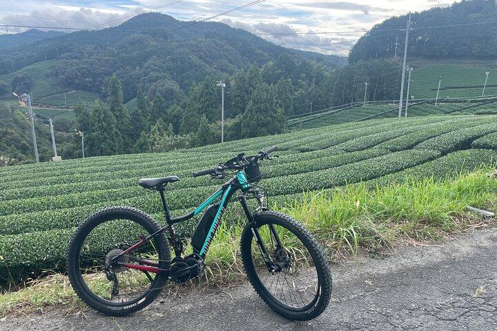 Kyoto E-Bike Rent (Powerful & Long model)