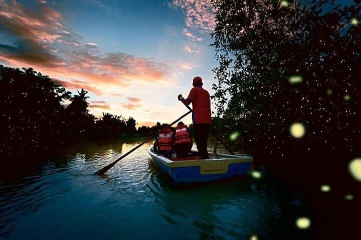 Kuala Lumpur to Kuala Selangor Fireflies Tour with Seafood Dinner