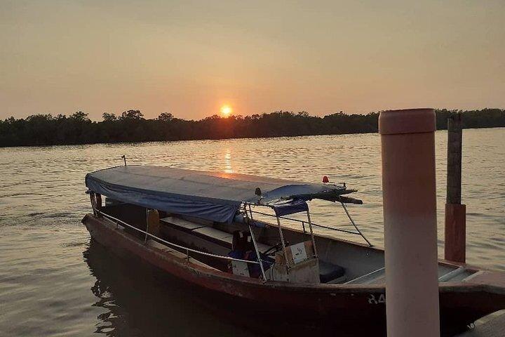 Kuala Lumpur to Kuala Selangor Magical Fireflies Tour