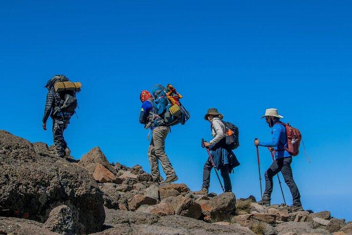 One Day Hike from Kilimanjaro to Mandara