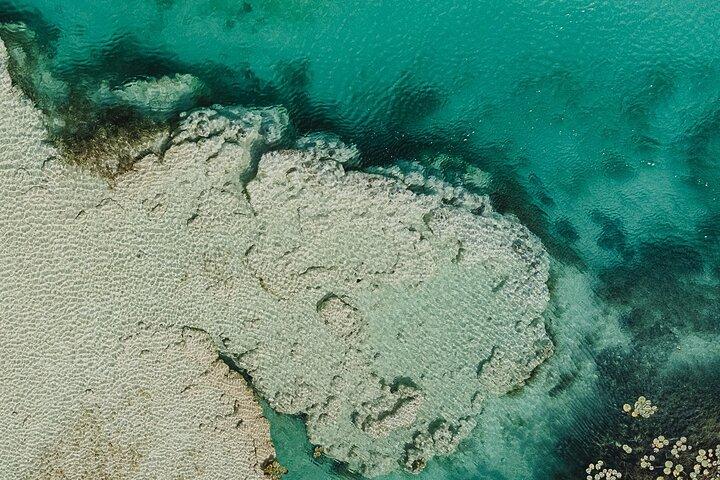 Sunrise Kayaking Tour in Bacalar with Breakfast and Photos