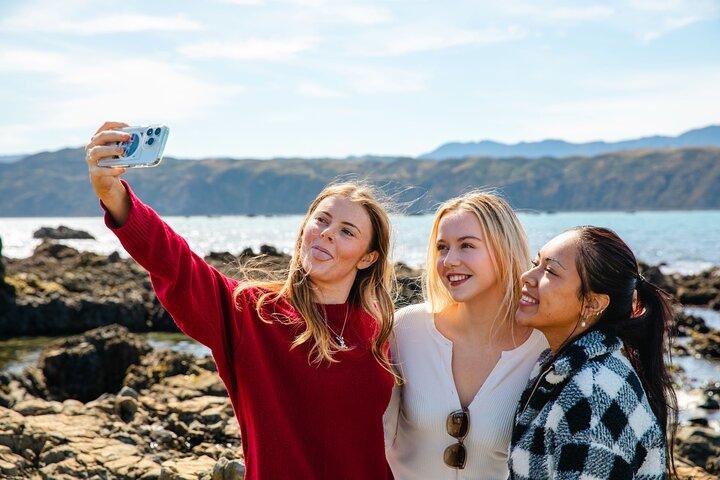 Discover Wellington 3 hour City Tour