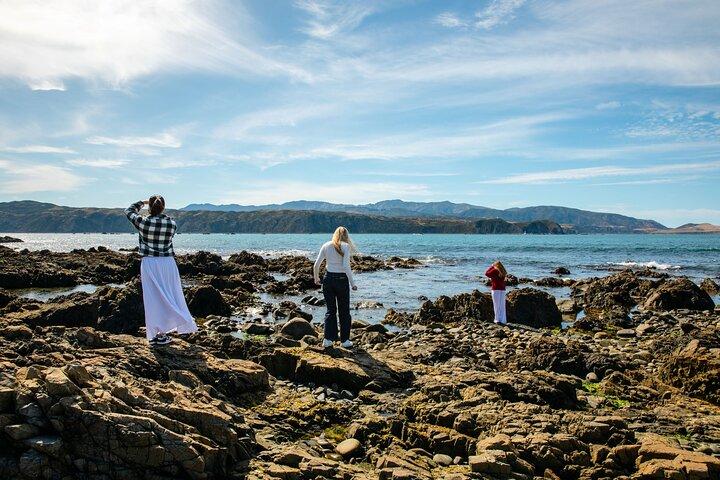 Discover Wellington 3 hour City Tour