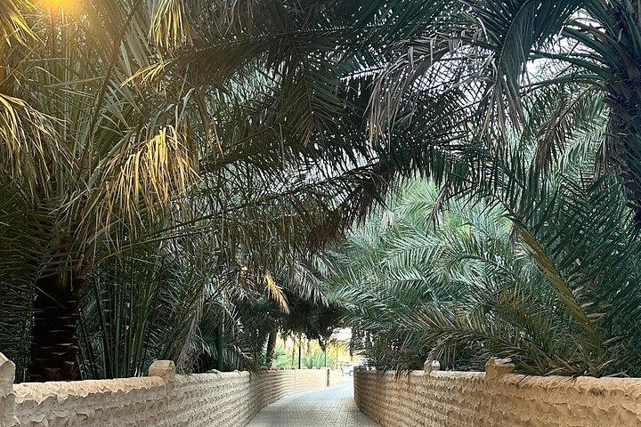 Explore Al Ain Culture and Nature