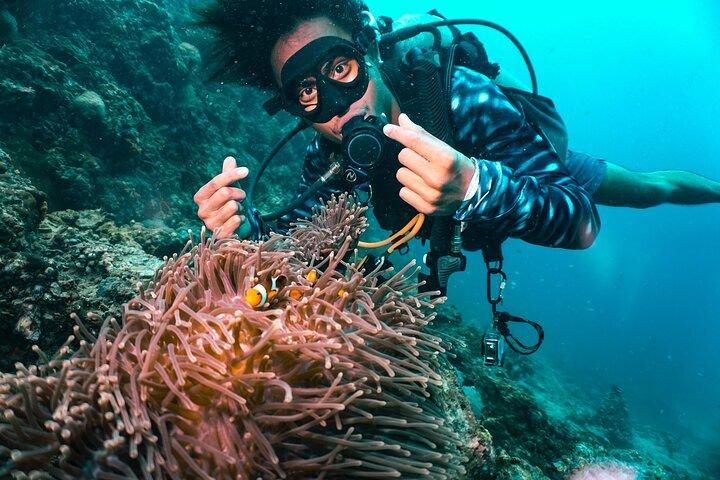 From Phi Phi: Half Day Discover Scuba (2 Dives)