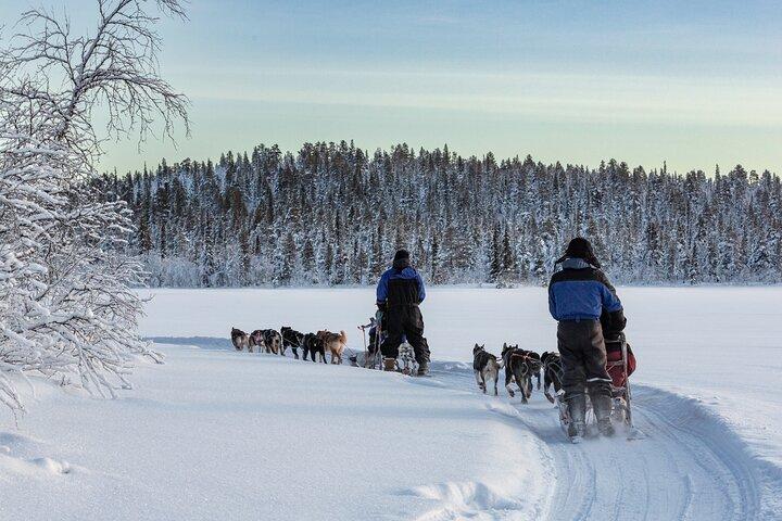 Sunset Zen Husky Tour