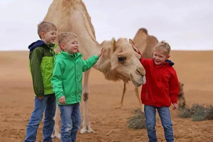 Dubai Morning Safari with 25 Mints Camel ride & Sand Boarding