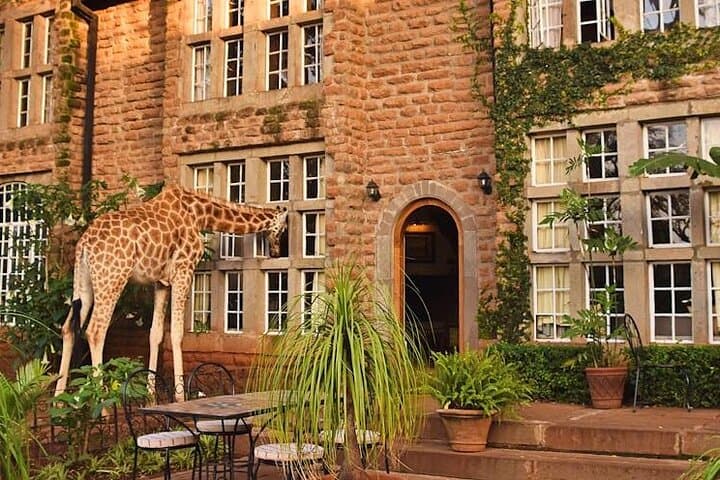 Day tour to Giraffe Center and Karen Blixen Museum