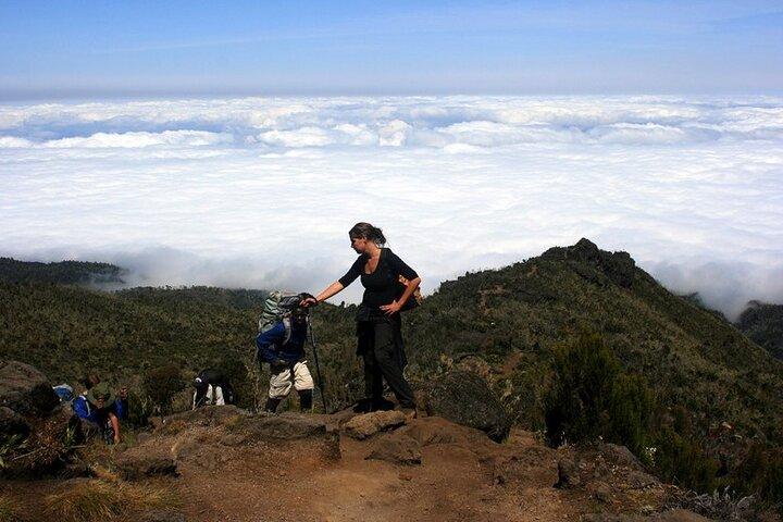 Kilimanjaro Full Day Trek Through Machame Route