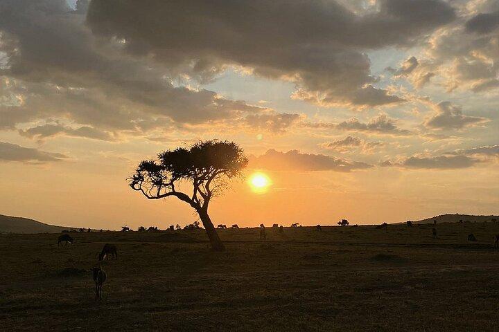 Amboseli day trip with pick up