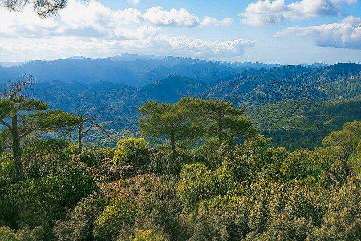 Scenic Troodos Mountains Tour with Wine Tasting from Paphos