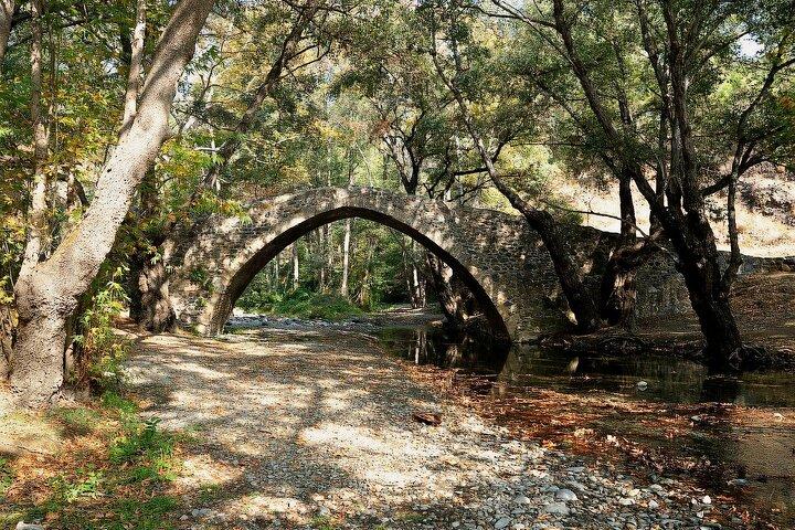 Scenic Troodos Mountains Tour with Wine Tasting from Paphos