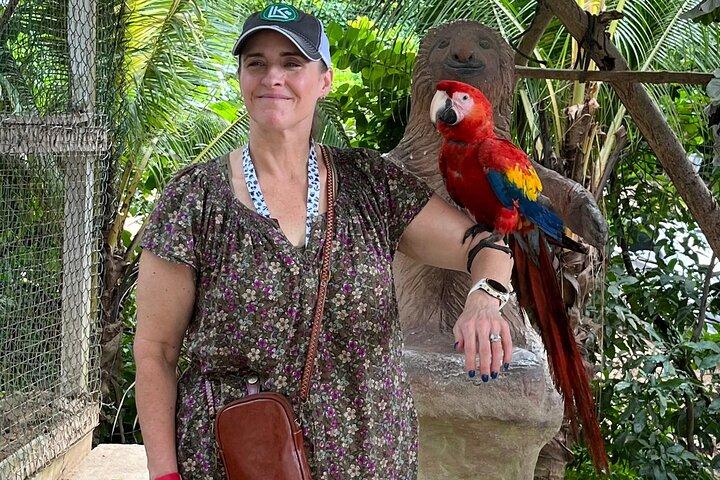 Sloth and Monkey Park Private Tour at Roatan with Pickup