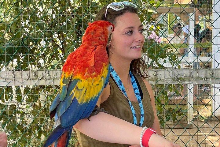 Sloth and Monkey Park Private Tour at Roatan with Pickup