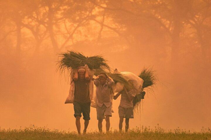 6 Day Nepal Golden Triangle Kathmandu, Chitwan and Pokhara