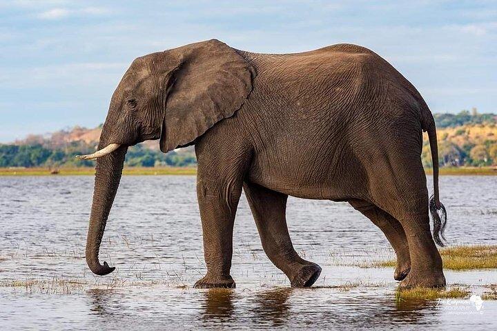 Full Day Excursion to Arusha National Park
