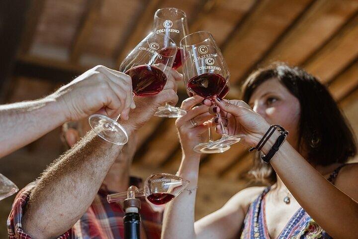 From Siena Brunello di Montalcino Wine Tour with Lunch