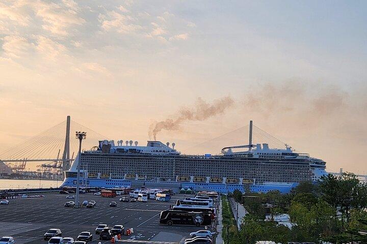 [On Time Return] Busan Tour for Cruise passengers (max 12 Guest)
