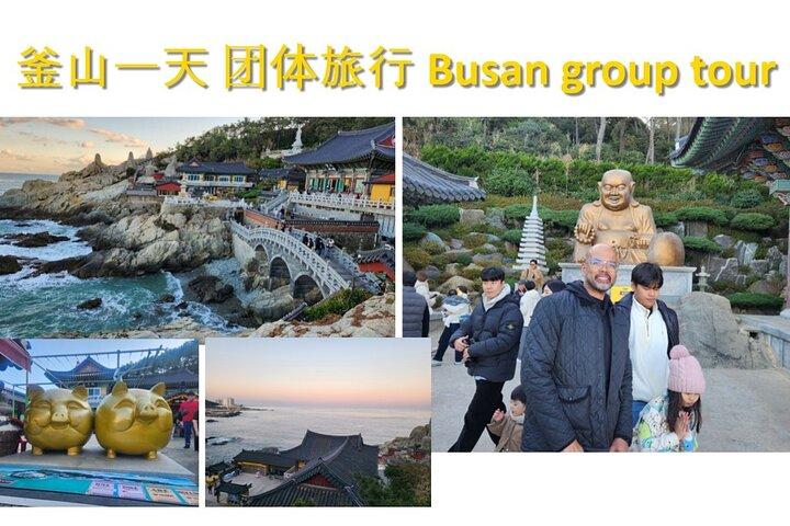 [On Time Return] Busan Tour for Cruise passengers (max 12 Guest)