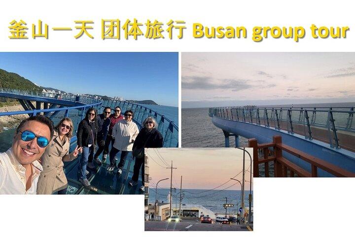 [On Time Return] Busan Tour for Cruise passengers (max 12 Guest)