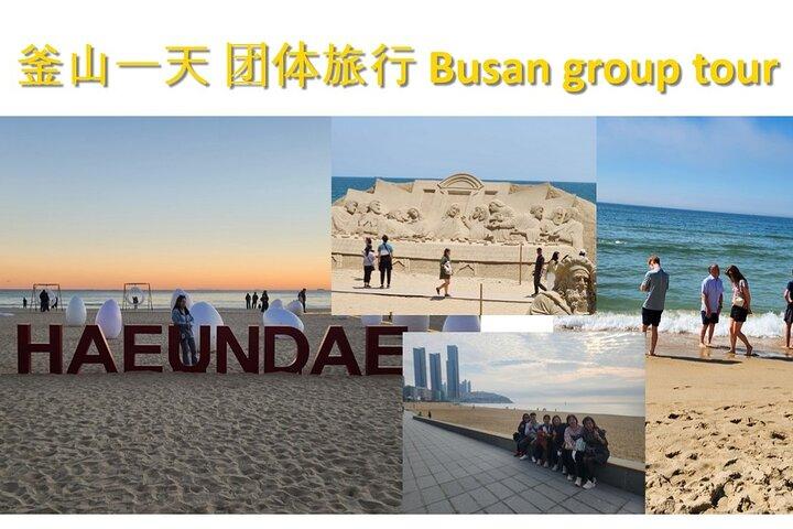[On Time Return] Busan Tour for Cruise passengers (max 12 Guest)