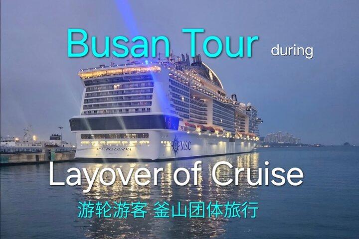 [On Time Return] Busan Tour for Cruise passengers (max 12 Guest)