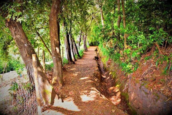 Paradise Valley Tour from Agadir