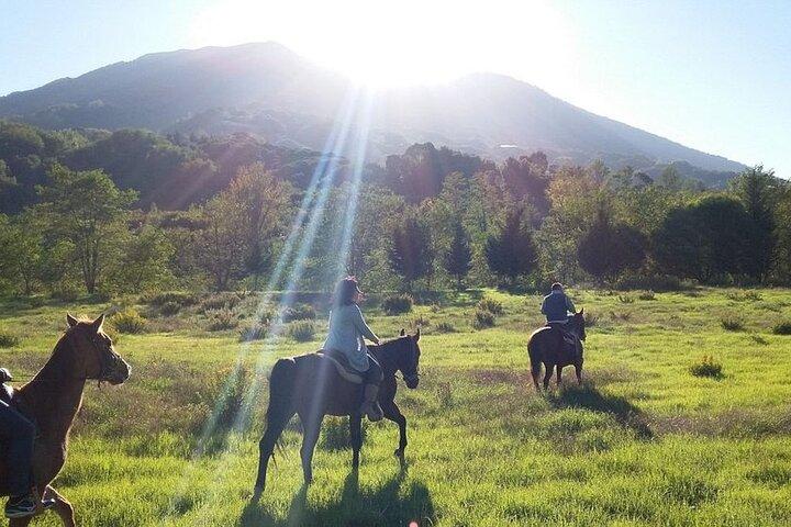 Shared Tour Pompeii Excavations And Horseback Riding And Lunch
