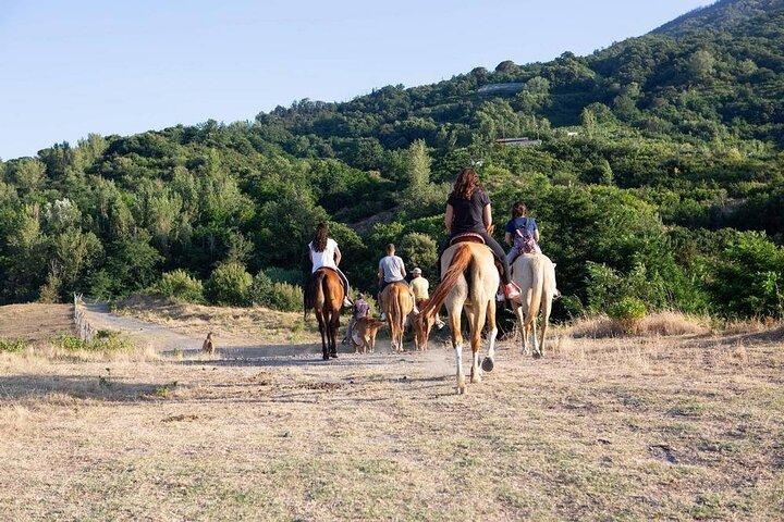 Shared Tour Pompeii Excavations And Horseback Riding And Lunch