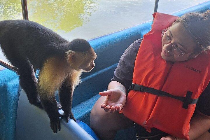 Monkey Island: The Wild Life Safari at Gatun Lake