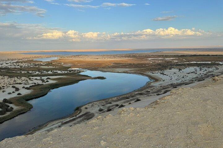 Fayoum Oasis Desert Safari 4x4 & Sandboarding with Cairo Pickup