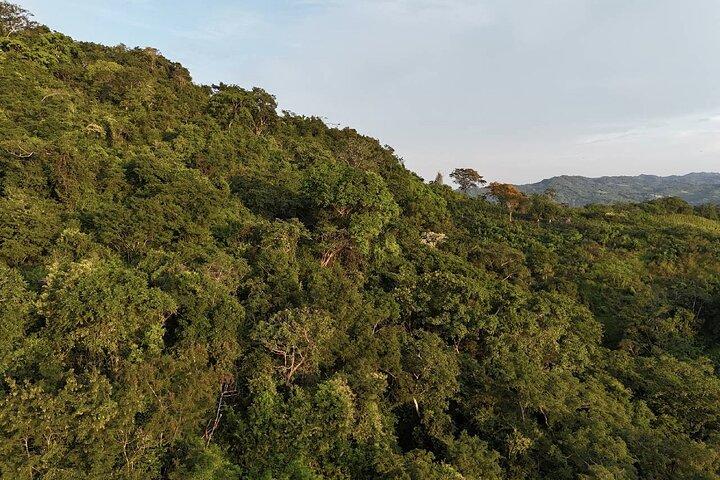 ATV Ride + Wildlife Conservation Near Cartagena | Private Tour