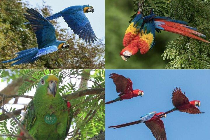 ATV Ride + Wildlife Conservation Near Cartagena | Private Tour