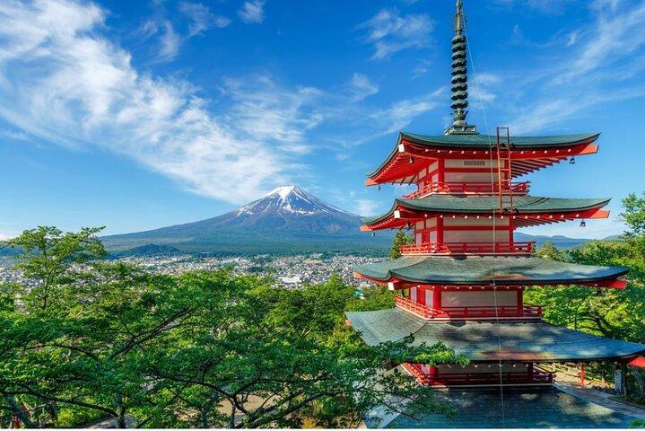 VIP Mt. Fuji and Hakone World Heritage Customized One Day Tour.