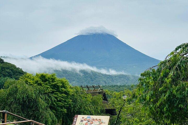 VIP Mt. Fuji and Hakone World Heritage Customized One Day Tour.