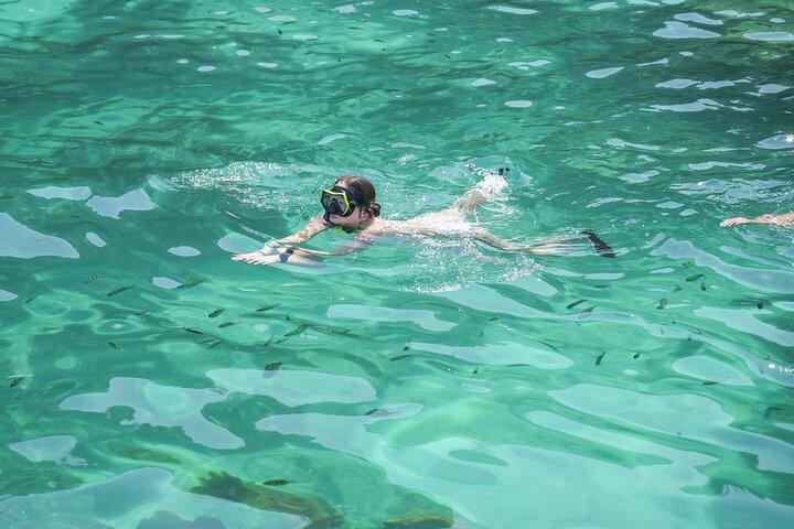 Phi Phi & Maya Bay PREMIUM Trip by Speedboat: Full Food & Pickup