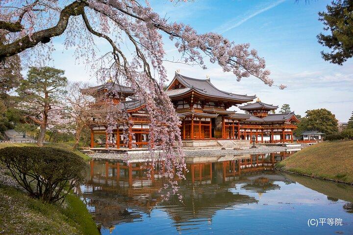 Matcha Grinding Experience and Walking Tour in Uji Kyoto