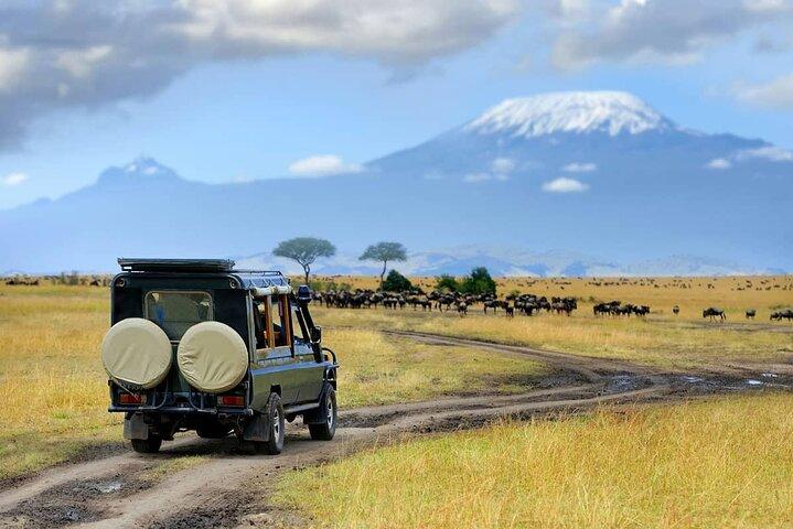 3 Day/2 Nights Maasai Mara Safari Shared Tour