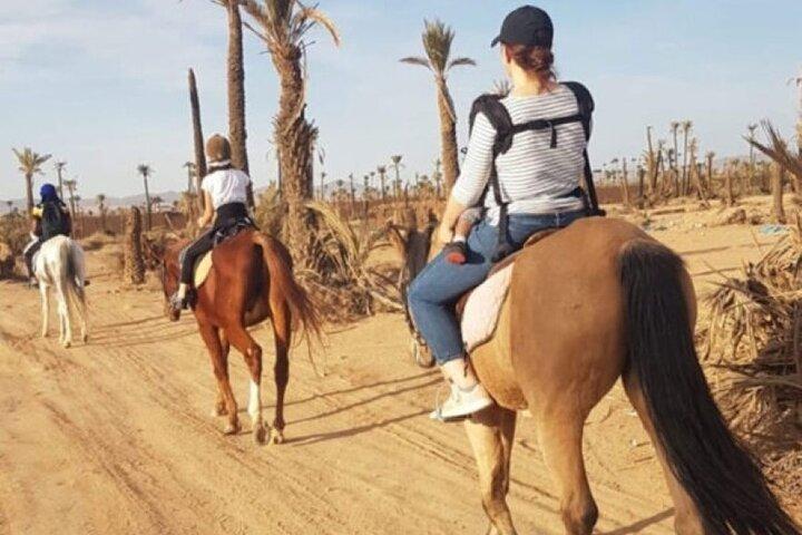 2-Hour Horseback Riding Adventure in Palmeraie Grove – Marrakesh
