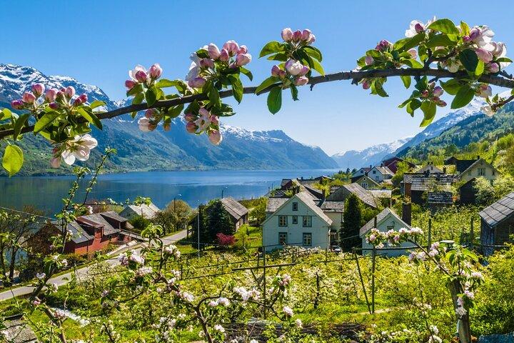 Guided tour - Hardangerfjord, Voss Gondola & 3 Great Waterfalls