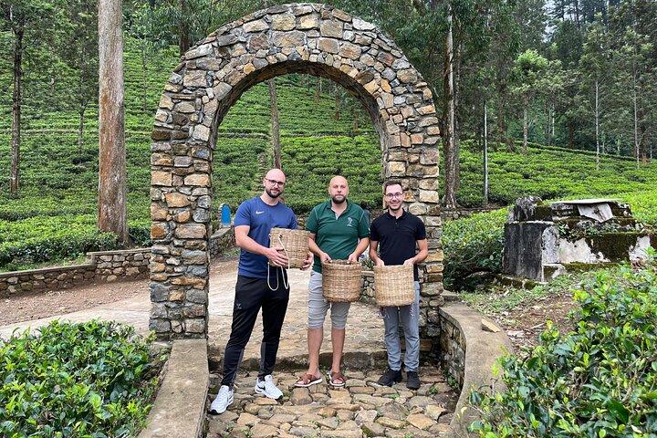 Nuwara Eliya Tea factory and waterfall tour